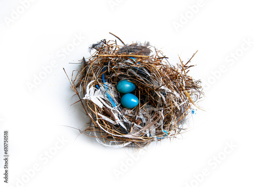 Bird's nest and blue eggs. photo