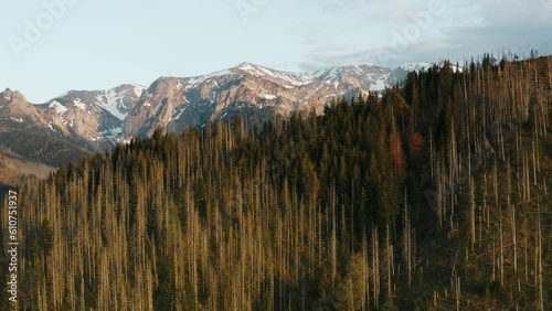High snowy mountain peaks lit with warm sunrise sunset light, aerial view drone opening shot beautiful mountains hills covered with pine trees, spring season early morning, mountain range golden hour