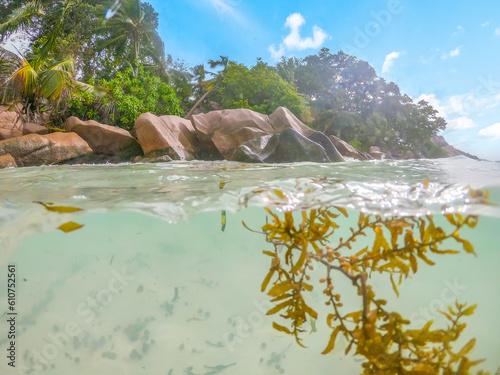 Split underwater view of Anse Severe beach on a sunny day photo