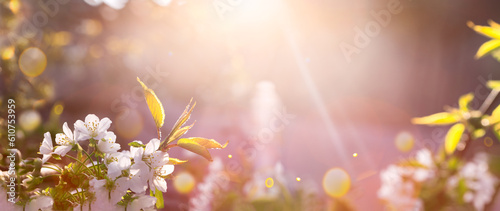 Blurred natural background. Delicate colors, copy space. Sunny day.