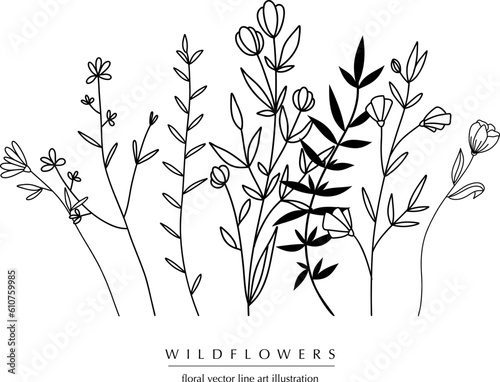 Botanical abstract line art composition with wildflowers, minimal floral border of hand drawn herbs, flowers, leaves and branches; vector illustration