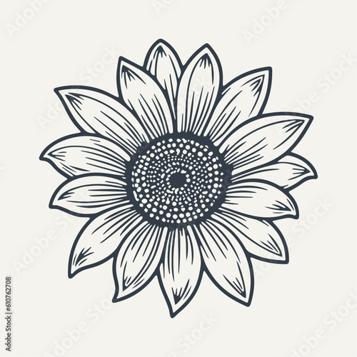 Hand drawn sunflower illustration. Vintage woodcut engraving style vector illustration.	