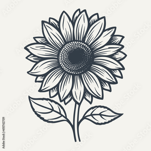 Hand drawn sunflower illustration. Vintage woodcut engraving style vector illustration.	