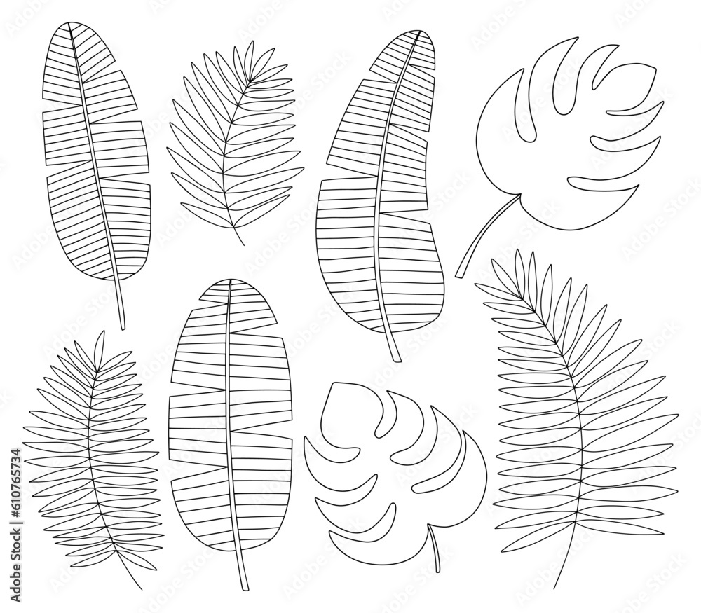 Tropical plant leaves outline set. Vector hand drawn different kinds of tropical leaves Tropical plant leaves outline set. Vector hand drawn different kinds of tropical leaves