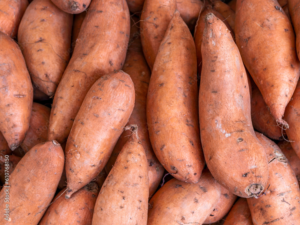 Organic sweet yam potatoes top view closeup. Vegetarian, nutritional food seamless pattern. Organic sweet yam potatoes top view closeup. Vegetarian, nutritional food seamless pattern.