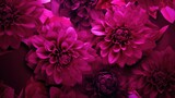 pink flowers magenta wallpaper