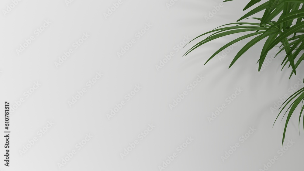 Fototapeta premium Blank clean white wallpaper wall with leaf shadow for luxury product display, interior design decoration background 3D rendering.