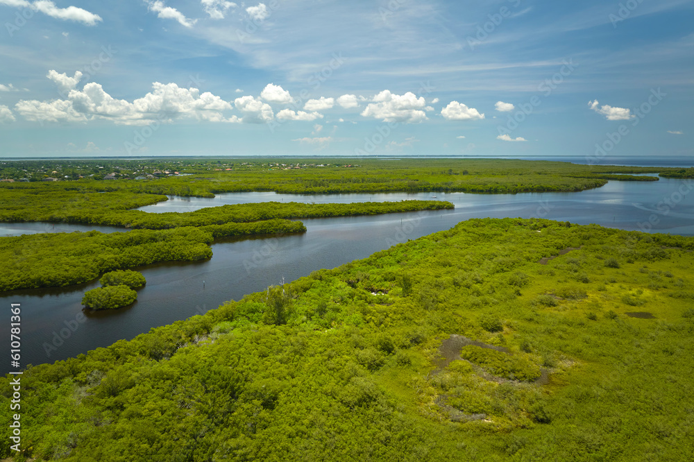 View from above of Florida everglades with green vegetation between ocean water inlets. Natural habitat of many tropical species in wetlands
