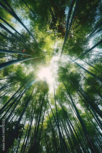 Sun shining through the forest. AI generated art illustration. © Дима Пучков
