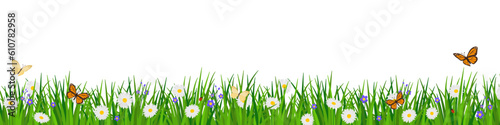 Lush grass with flowers and butterflies background
