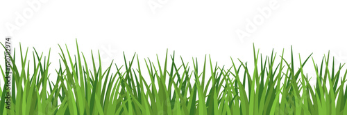 Lush grass meadow close up