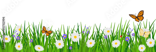 Lush grass with flowers and butterflies background