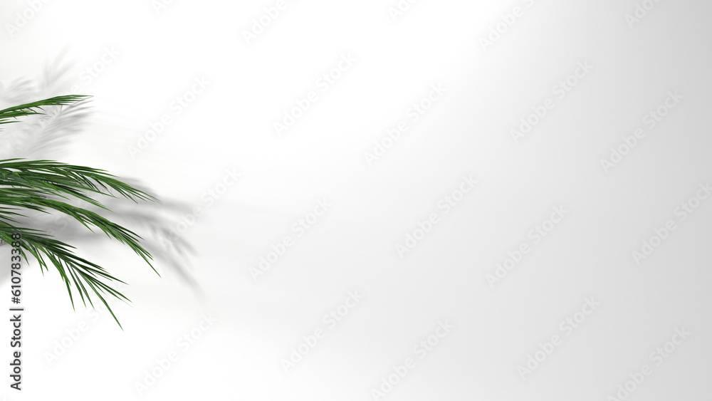 Fototapeta premium Blank clean white wallpaper wall with leaf shadow for luxury product display, interior design decoration background 3D rendering.