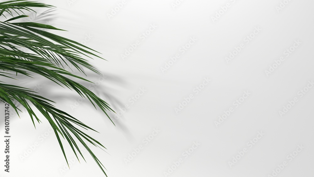 Blank clean white wallpaper wall with leaf shadow for luxury product display, interior design decoration background 3D rendering. Blank clean white wallpaper wall with leaf shadow for luxury product display, interior design decoration background 3D rendering.