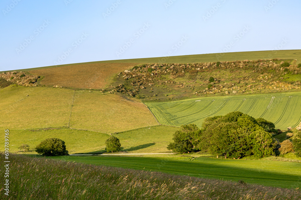 Green fields in the South Downs with a blue sky overhead Green fields in the South Downs with a blue sky overhead