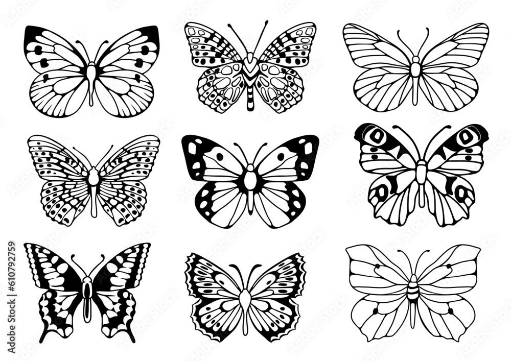 Butterflies SVG Bundle, Outline vector designs Butterflies SVG Bundle, Outline vector designs
