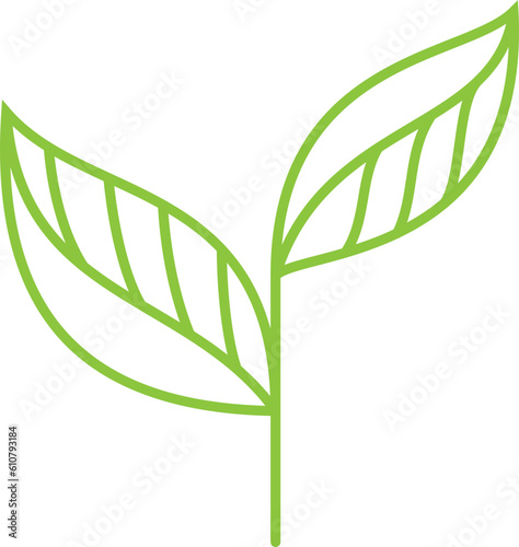 Ecology Leaf Line Icon. Iso...