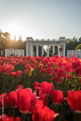 city park gates in spring with red tulips flowerbed in front of them