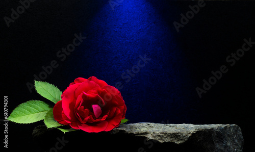 Fototapeta Naklejka Na Ścianę i Meble -  stones and rose for podium.black and gray zen stones in composition with red rose for product presentation podium background