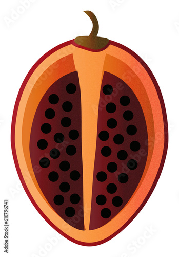 Zestaw ilustracji owoców | Owoce Fruit wector set illustration Fruits Icons Tamarillo  photo