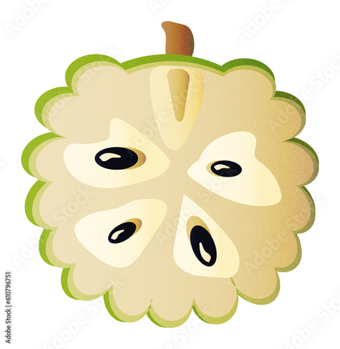 Zestaw ilustracji owoców czerymoja | Owoce Fruit wector set illustration Fruits Icons Cherimoya, tropical  photo