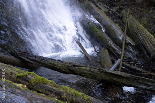 University Falls Tillamook State Forest  photo