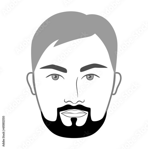 The Hollywood Writer Beard style men in face illustration Facial hair mustache. Vector grey black portrait male Fashion template flat barber set. Stylish hairstyle isolated outline on white background