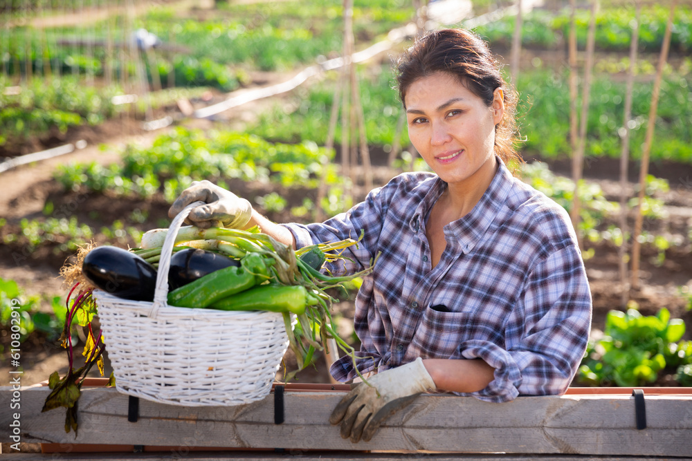 Fototapeta premium Kazakh woman in vegetable garden basket of harvest