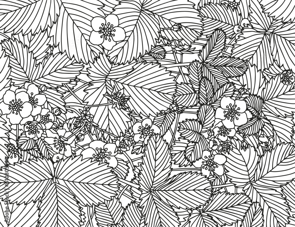 Antistress coloring book for children and adults. 
