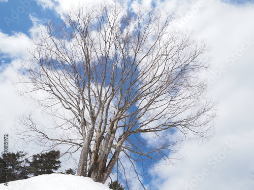 雪の積もった高原