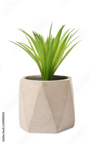 Beautiful artificial plant in flower pot on white background