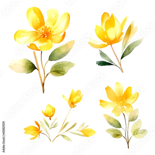 Set of yellow gold floral watecolor. flowers and leaves. Floral poster, invitation floral. Vector arrangements for greeting card or invitation design 