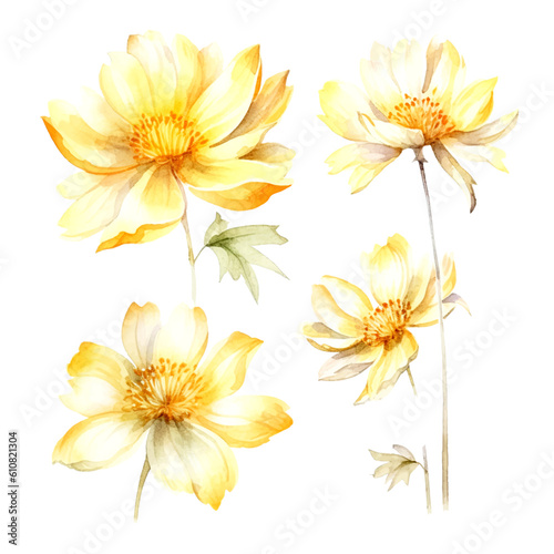 Set of yellow gold floral watecolor. flowers and leaves. Floral poster  invitation floral. Vector arrangements for greeting card or invitation design 