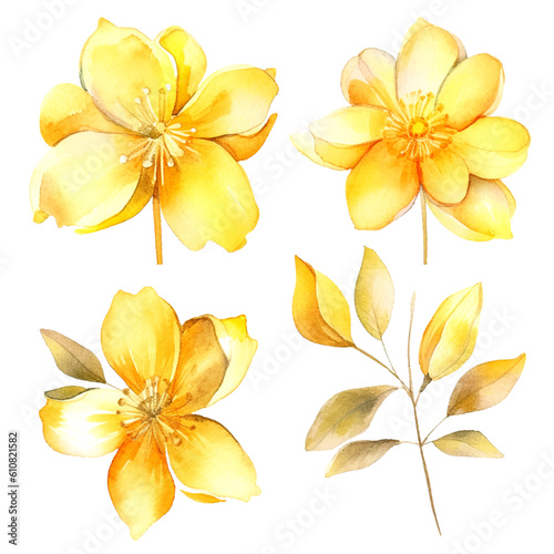 Set of yellow gold floral watecolor. flowers and leaves. Floral poster, invitation floral. Vector arrangements for greeting card or invitation design	