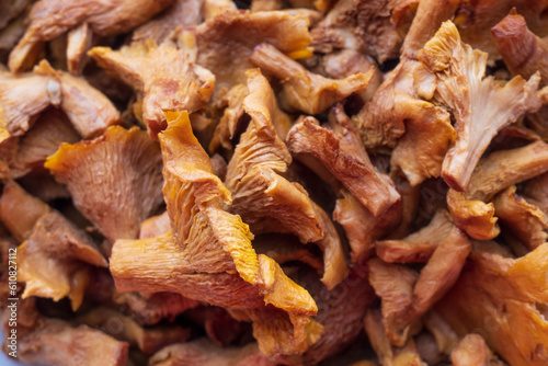 Edible chanterelle mushrooms. Mushrooms photographed from above. Background with mushrooms.