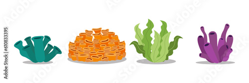 various set of sea corals and seaweed vector isolated on white background, underwater flora and fauna vector