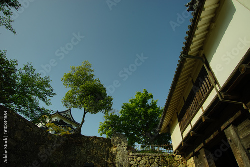 初夏の彦根城 （2022年4月） photo