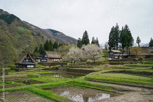 五箇山　相倉集落の合掌造りの家