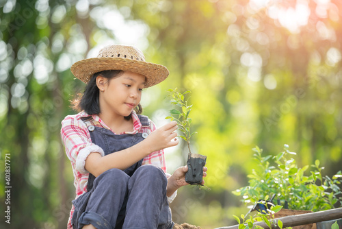 Cute little child girl with seedlings. volunteering, charity, people and ecology concept - volunteers hands planting tree seedling in park. Asian little girl holding a seedling.