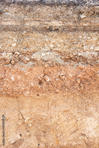 Section of soil under the asphalt road