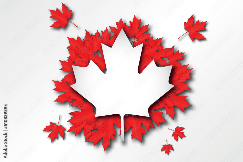 Free vector for canada day 