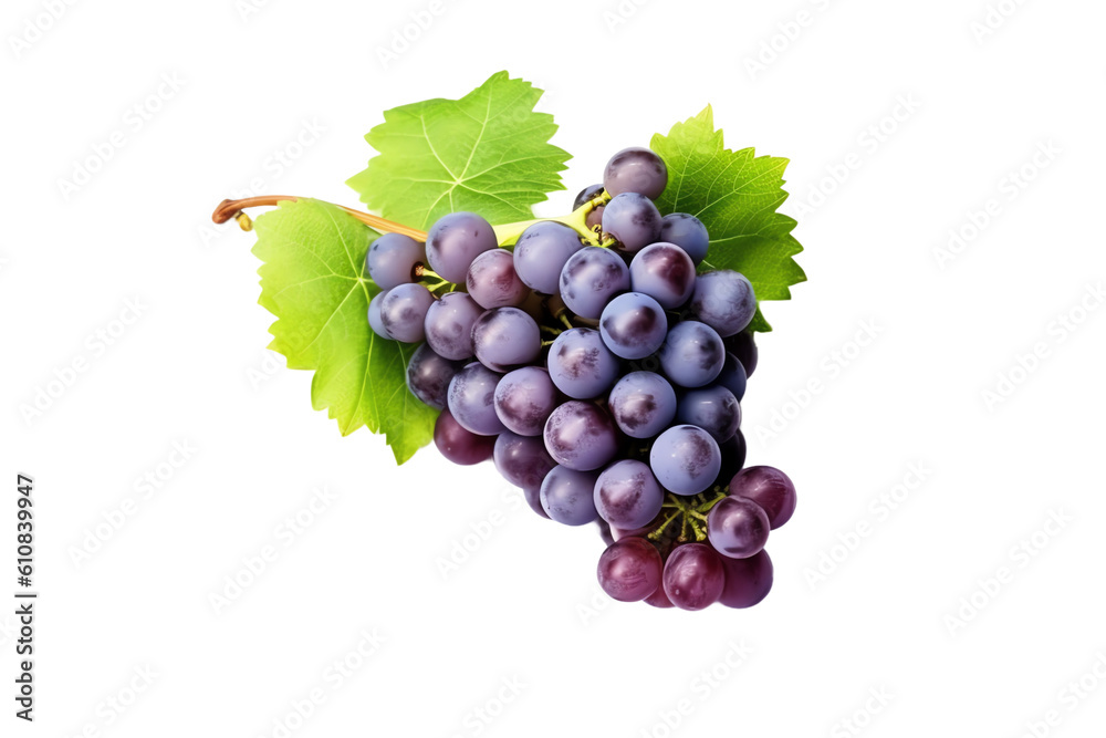 grape grape