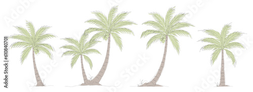 Coconut tree line art drawing collection. Single continuous line drawing of coconut palm tree set. Set of decorative coconut palm tree concept. Coconut tree modern one line drawing vector illustration