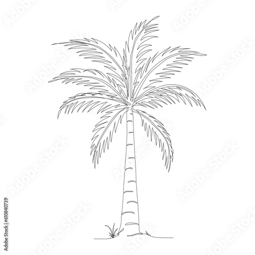 Coconut tree line art drawing. Single continuous line drawing of coconut palm tree. Decorative coconut palm tree concept. Coconut tree modern one line drawing vector illustration. Vector illustration