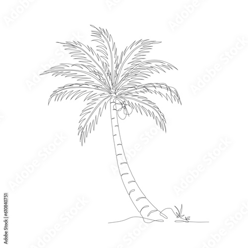 Coconut tree line art drawing. Single continuous line drawing of coconut palm tree. Decorative coconut palm tree concept. Coconut tree modern one line drawing vector illustration. Vector illustration
