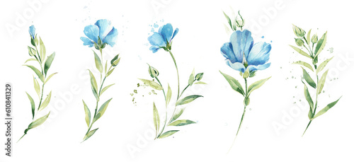 Clipart of summer flax flowers. Cute watercolor flowers set.