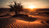 Tranquil sun over rippled sand dunes in Africa generated by AI