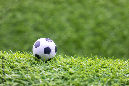 Soccer ball is on green grass.