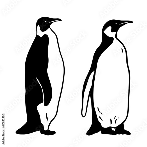 King Penguin Set. Monochrome vector illustration. Realistic polar animal