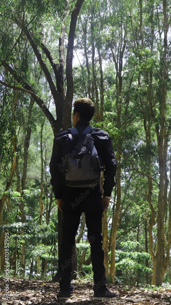 man in the forest man in the forest